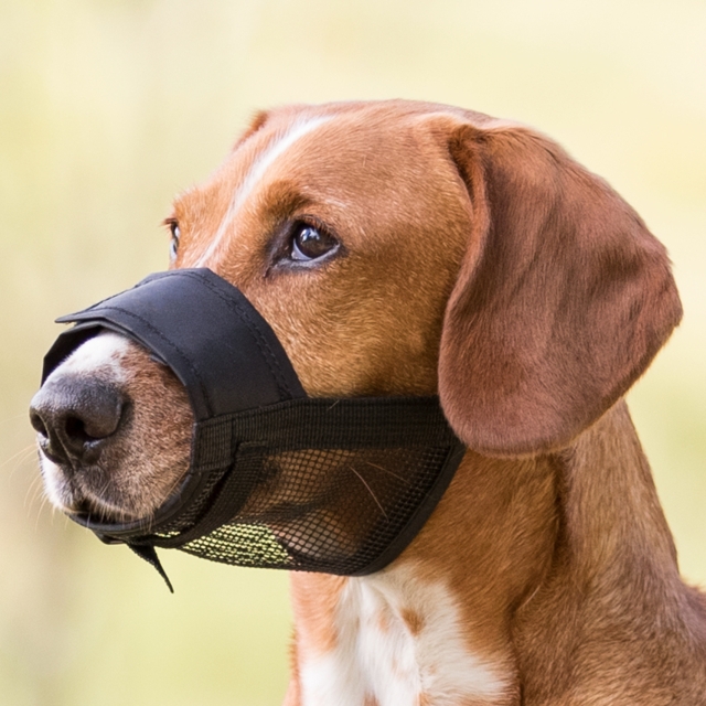 Mundkurv med Netindsats til Hunde - Bedre Komfort!
